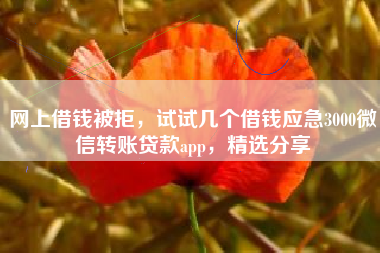 网上借钱被拒，试试几个借钱应急3000微信转账贷款app，精选分享