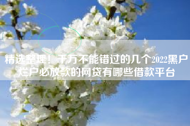 精选整理！千万不能错过的几个2022黑户烂户必放款的网贷有哪些借款平台