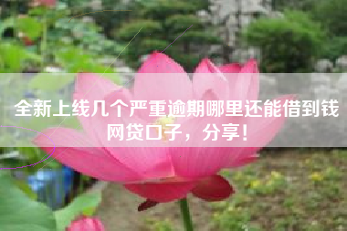全新上线几个严重逾期哪里还能借到钱网贷口子，分享！