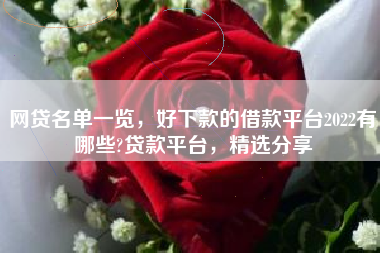 网贷名单一览，好下款的借款平台2022有哪些?贷款平台，精选分享