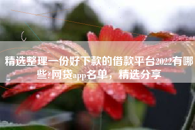 精选整理一份好下款的借款平台2022有哪些?网贷app名单，精选分享
