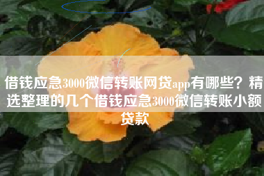 借钱应急3000微信转账网贷app有哪些？精选整理的几个借钱应急3000微信转账小额贷款