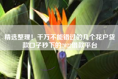 精选整理！千万不能错过的几个花户贷款口子秒下的2022借款平台