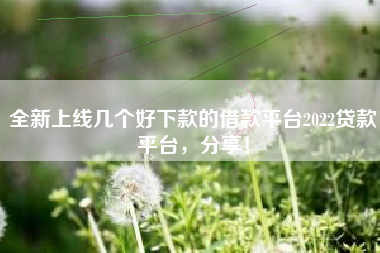 全新上线几个好下款的借款平台2022贷款平台，分享！