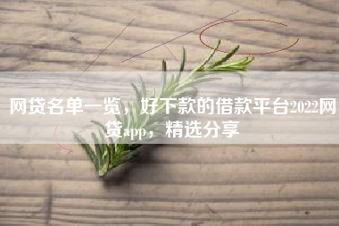 网贷名单一览，好下款的借款平台2022网贷app，精选分享