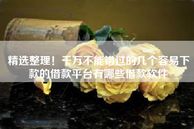 精选整理！千万不能错过的几个容易下款的借款平台有哪些借款软件