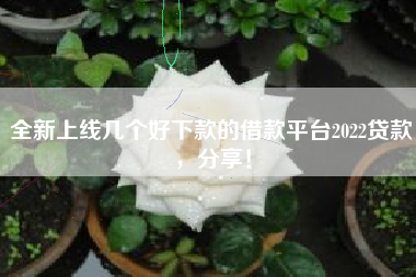 全新上线几个好下款的借款平台2022贷款，分享！
