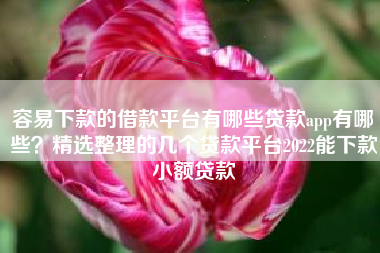 容易下款的借款平台有哪些贷款app有哪些？精选整理的几个贷款平台2022能下款小额贷款