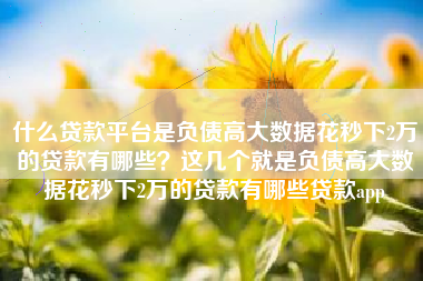 什么贷款平台是负债高大数据花秒下2万的贷款有哪些？这几个就是负债高大数据花秒下2万的贷款有哪些贷款app
