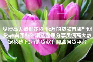 负债高大数据花秒下2万的贷款有哪些网贷app有哪些？精选整理分享负债高大数据花秒下2万的贷款有哪些网贷平台
