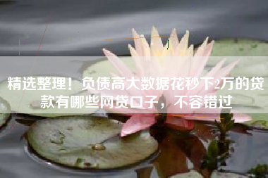 精选整理！负债高大数据花秒下2万的贷款有哪些网贷口子，不容错过