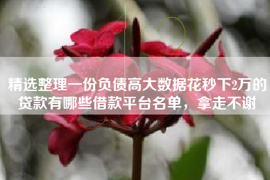 精选整理一份负债高大数据花秒下2万的贷款有哪些借款平台名单，拿走不谢
