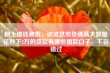网上借钱被拒，试试这些负债高大数据花秒下2万的贷款有哪些借款口子，不容错过