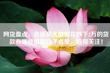 网贷盘点，负债高大数据花秒下2万的贷款有哪些借款口子名单，值得关注！
