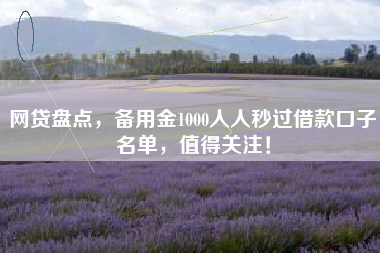 网贷盘点，备用金1000人人秒过借款口子名单，值得关注！