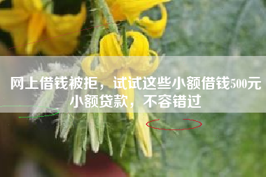 网上借钱被拒，试试这些小额借钱500元小额贷款，不容错过