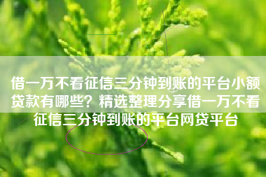 借一万不看征信三分钟到账的平台小额贷款有哪些？精选整理分享借一万不看征信三分钟到账的平台网贷平台
