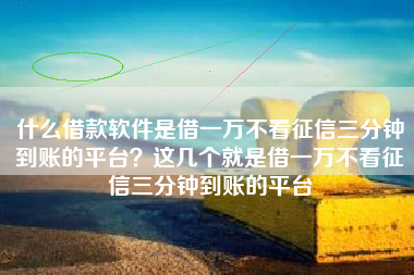 什么借款软件是借一万不看征信三分钟到账的平台？这几个就是借一万不看征信三分钟到账的平台