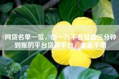 网贷名单一览，借一万不看征信三分钟到账的平台贷款平台，拿走不谢