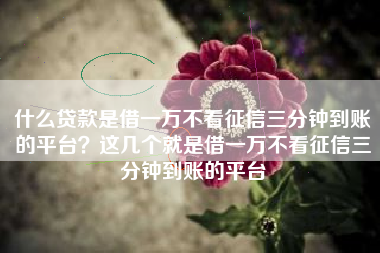 什么贷款是借一万不看征信三分钟到账的平台？这几个就是借一万不看征信三分钟到账的平台