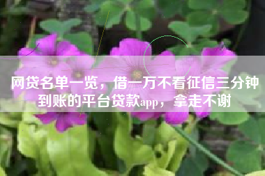 网贷名单一览，借一万不看征信三分钟到账的平台贷款app，拿走不谢