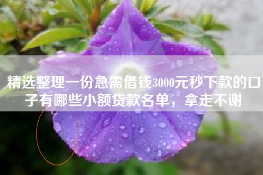 精选整理一份急需借钱3000元秒下款的口子有哪些小额贷款名单，拿走不谢