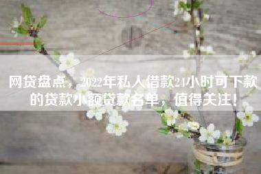 网贷盘点，2022年私人借款24小时可下款的贷款小额贷款名单，值得关注！