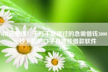 精选整理！千万不能错过的急需借钱3000元秒下款的口子有哪些借款软件
