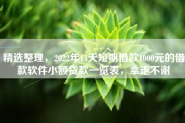 精选整理，2022年14天短期借款1000元的借款软件小额贷款一览表，拿走不谢
