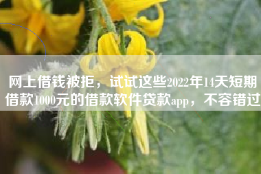 网上借钱被拒，试试这些2022年14天短期借款1000元的借款软件贷款app，不容错过