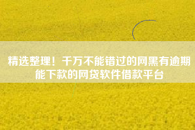 精选整理！千万不能错过的网黑有逾期能下款的网贷软件借款平台