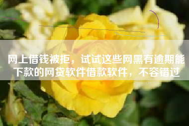 网上借钱被拒，试试这些网黑有逾期能下款的网贷软件借款软件，不容错过
