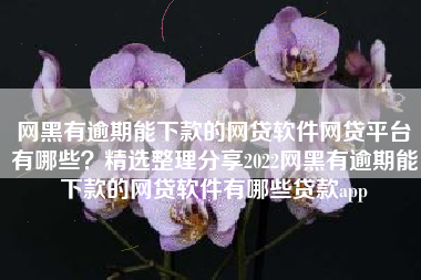 网黑有逾期能下款的网贷软件网贷平台有哪些？精选整理分享2022网黑有逾期能下款的网贷软件有哪些贷款app