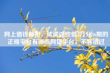 网上借钱被拒，试试这些借5万分36期的正规平台有哪些网贷平台，不容错过