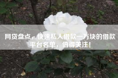 网贷盘点，快速私人借款一万块的借款平台名单，值得关注！