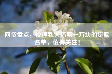 网贷盘点，快速私人借款一万块的贷款名单，值得关注！