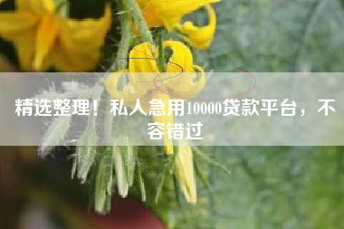 精选整理！私人急用10000贷款平台，不容错过