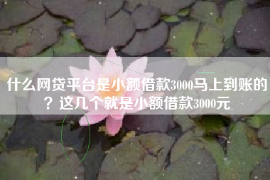 什么网贷平台是小额借款3000马上到账的？这几个就是小额借款3000元