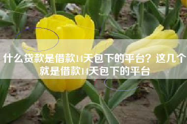 什么贷款是借款14天包下的平台？这几个就是借款14天包下的平台