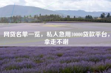 网贷名单一览，私人急用10000贷款平台，拿走不谢