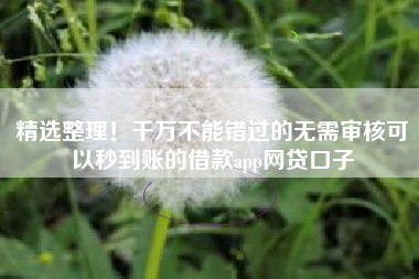 精选整理！千万不能错过的无需审核可以秒到账的借款app网贷口子