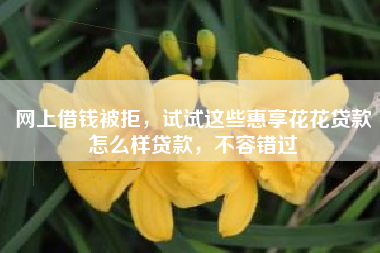 网上借钱被拒，试试这些惠享花花贷款怎么样贷款，不容错过