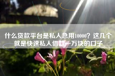 什么贷款平台是私人急用10000？这几个就是快速私人借款一万块的口子