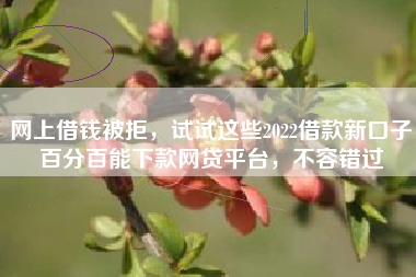 网上借钱被拒，试试这些2022借款新口子百分百能下款网贷平台，不容错过