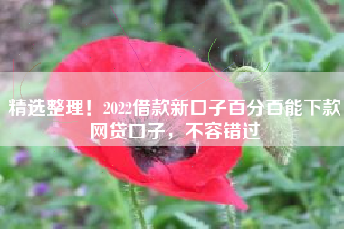 精选整理！2022借款新口子百分百能下款网贷口子，不容错过
