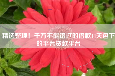 精选整理！千万不能错过的借款14天包下的平台贷款平台