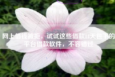 网上借钱被拒，试试这些借款14天包下的平台借款软件，不容错过