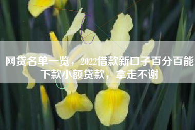 网贷名单一览，2022借款新口子百分百能下款小额贷款，拿走不谢