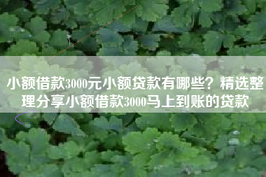 小额借款3000元小额贷款有哪些？精选整理分享小额借款3000马上到账的贷款