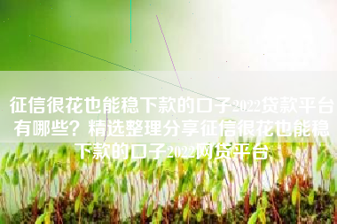 征信很花也能稳下款的口子2022贷款平台有哪些？精选整理分享征信很花也能稳下款的口子2022网贷平台
